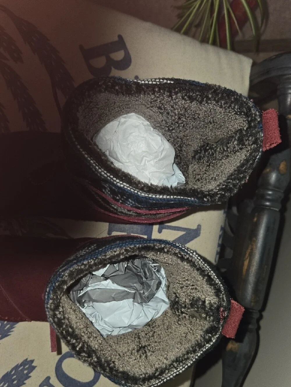 Toms women winter